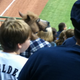 Illustration for article titled Forgive Us For Overlooking The Brewers Fan Drinking Through A Horse Mask Last Night